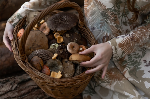 Free photo young woman in a linen dress gathering mushrooms in the forest