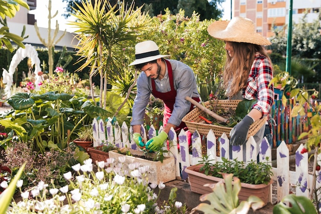 Young woman looking at male gardener pruning the plant in the garden