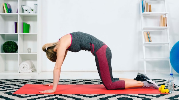 Young woman practicing yoga doing asana paired with cat pose