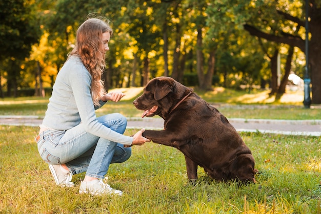 Young woman shaking dog's paw in park