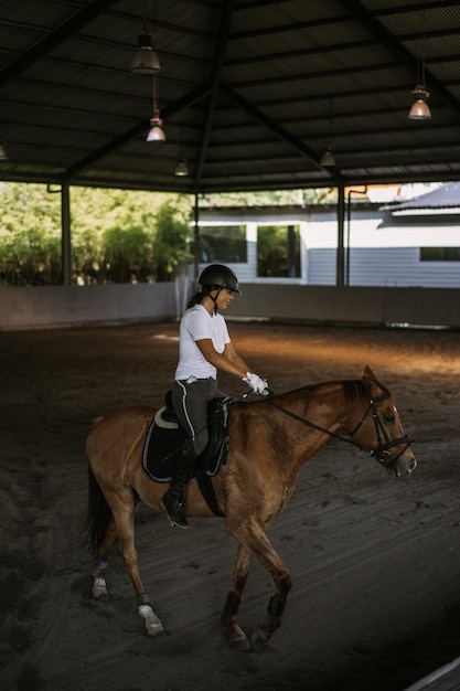 Free Photo young woman trains in horseback riding in the arena. young caucasian woman in formal clothing horseback riding across the sandy arena. a pedigree horse for equestrian sport. the sportswoman on a horse