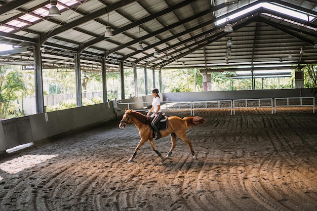 Free Photo young woman trains in horseback riding in the arena. young caucasian woman in formal clothing horseback riding across the sandy arena. a pedigree horse for equestrian sport. the sportswoman on a horse