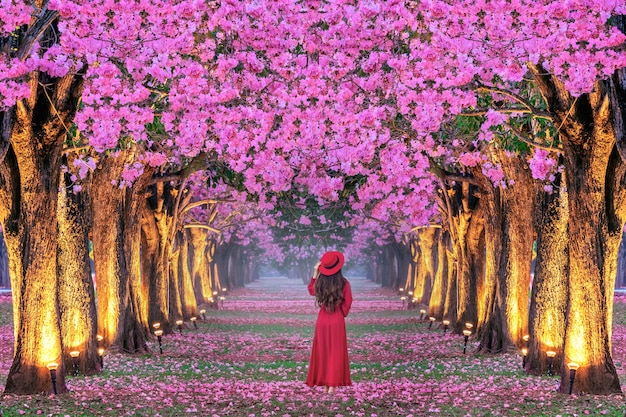 Free Photo young woman walking in rows of beautiful pink flowers trees.