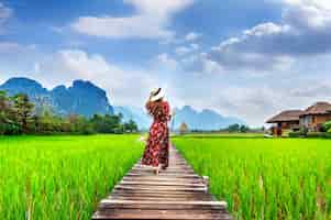 Free photo young woman walking on wooden path with green rice field in vang vieng, laos.