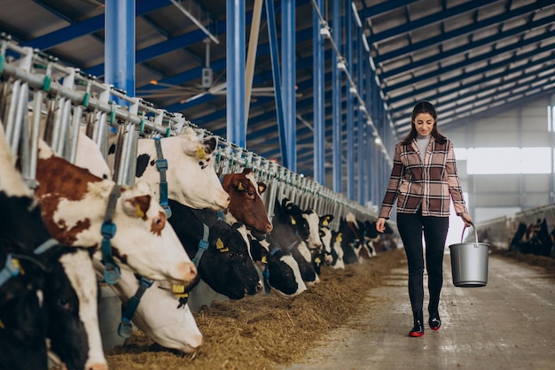 Free Photo young woman with bucket and at the cowshed feeding cows