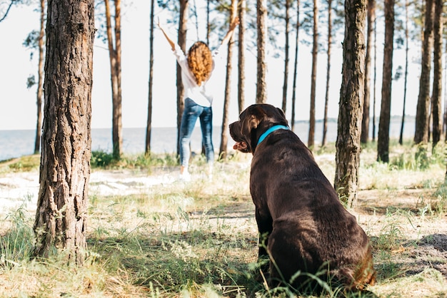 Free Photo young woman with her dog at the beach