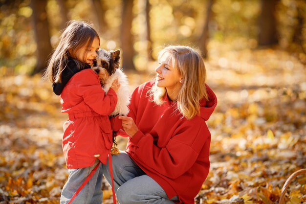 Young woman with little girl walking in autumn forest. Blonde woman play with her daughter and yorkshire terrier dog. Mother and daughter wearing jeans and red jackets.