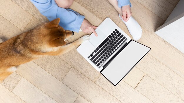 Young woman working on her laptop next to her dog