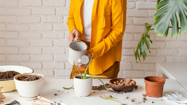 Young woman in yellow shirt gardening at home