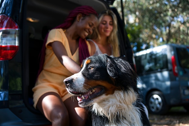 Young women having fun with  dog at the beach