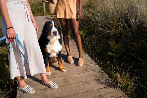 Free photo young women having fun with  dog at the beach