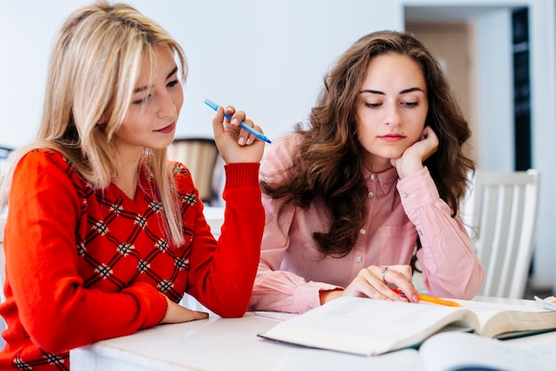 Young women studying together