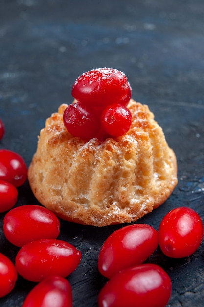 Free photo yummy sweet cake with red dogwoods on dark-grey