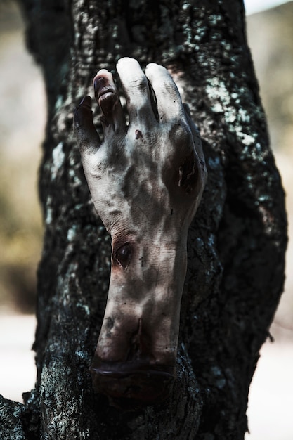 Zombie hand hanging on tree