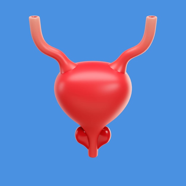 Free PSD 3d rendering of human body icon