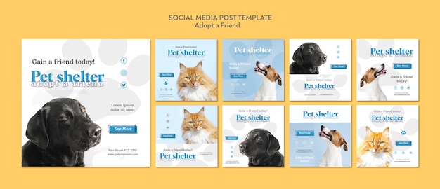 Free PSD adopt a friend social media post