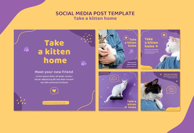 Adopt a kitten social media post template