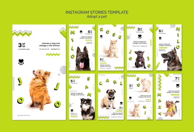 Free PSD adopt a pet instagram stories