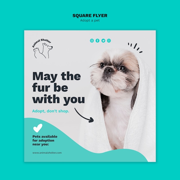 Free PSD adopt a pet square flyer design