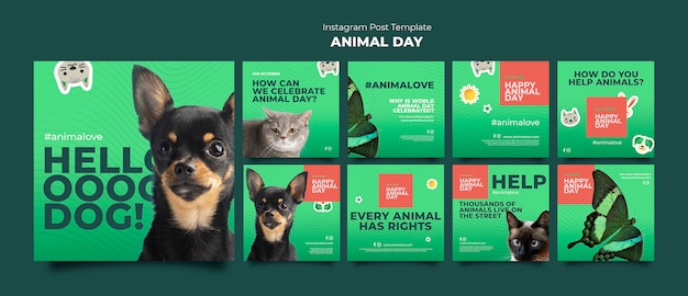 Animal day instagram posts collection with animals