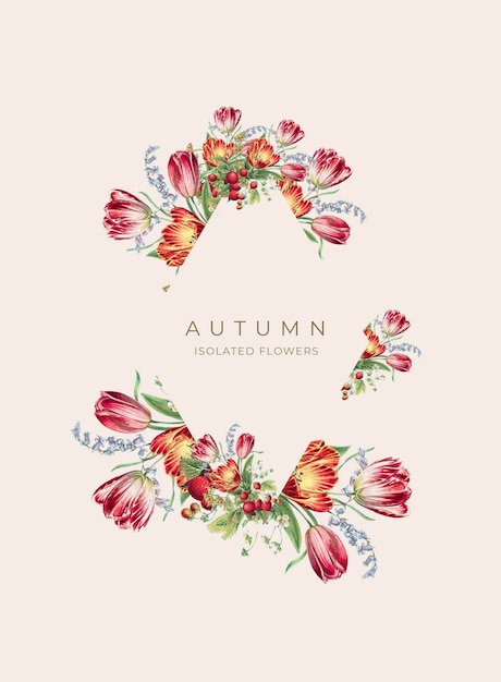 Free PSD autumn pink tulips floral background frame