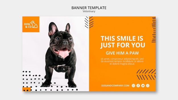 Free PSD banner template with veterinary design