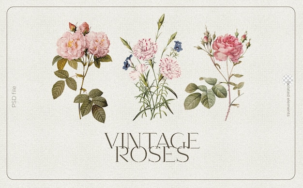 Free PSD beautiful collage composition with vintage flowers