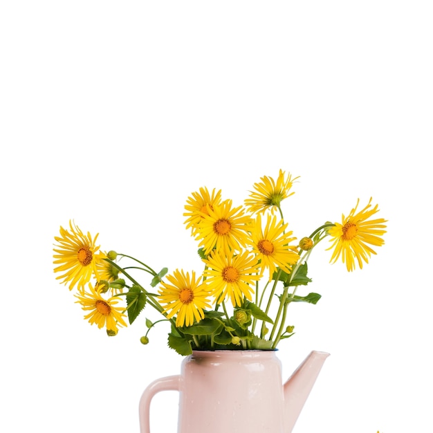 Free PSD beautiful flowers  isolated