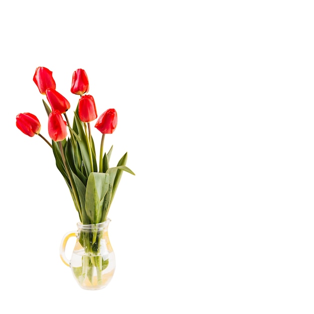 Free PSD beautiful tulip flower isolated