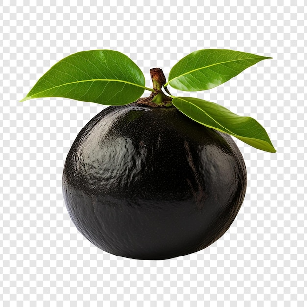 Free PSD black sapote isolated on transparent background