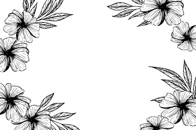 Free PSD botanical flowers border illustration