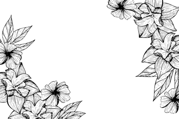 Free PSD botanical flowers border illustration