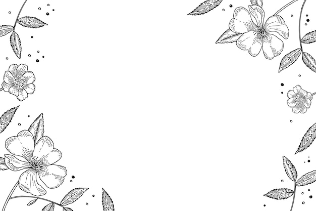 Free PSD botanical flowers outline