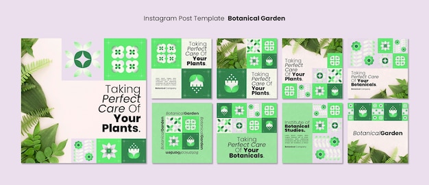 Free PSD botanical garden  instagram posts template