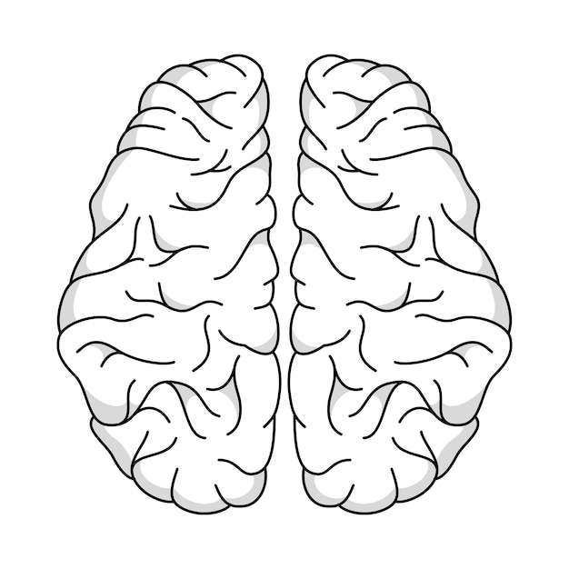 Free PSD brain outline illustration