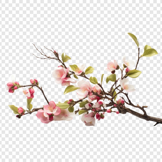 Free PSD branching spring centerpiece isolated on transparent background