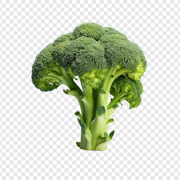 A broccoli 3d isolated on transparent background