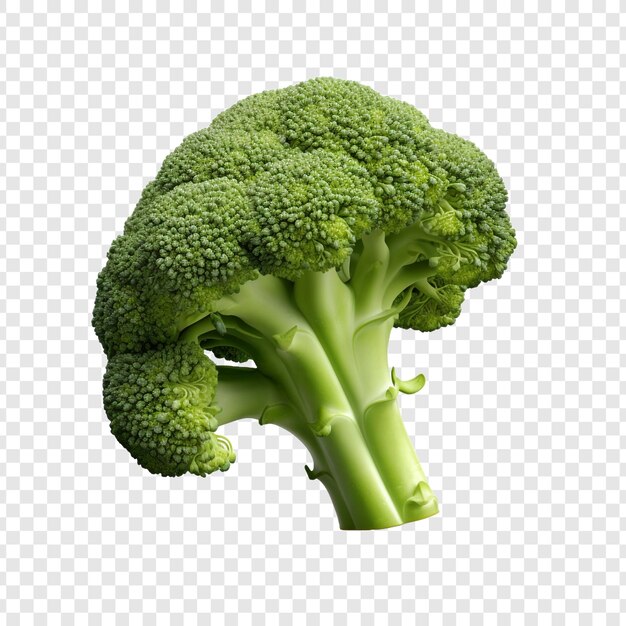 A broccoli 3d isolated on transparent background