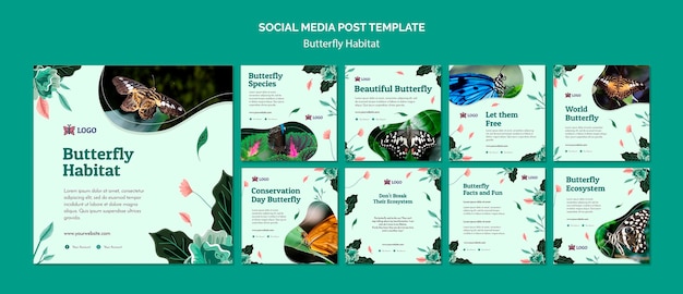 Free PSD butterfly habitat concept social media post template