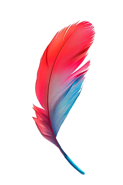 Free PSD close up on feather isolated