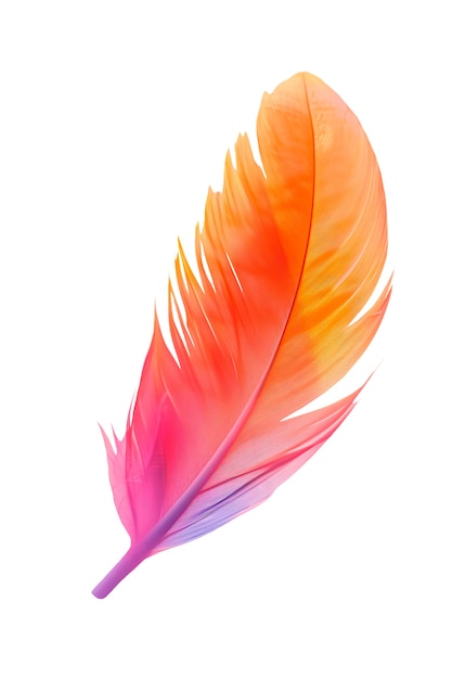 Free PSD close up on feather isolated