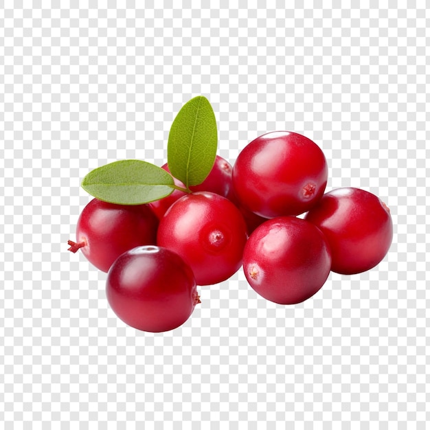 Free PSD cranberry isolated on transparent background