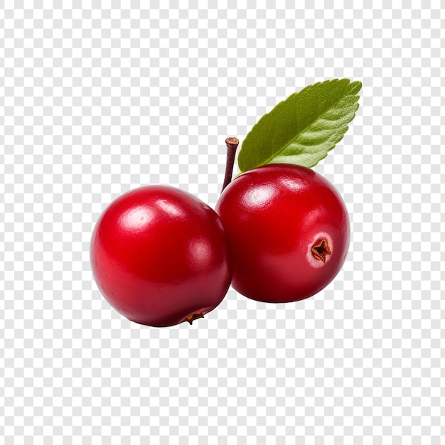 Free PSD cranberry isolated on transparent background