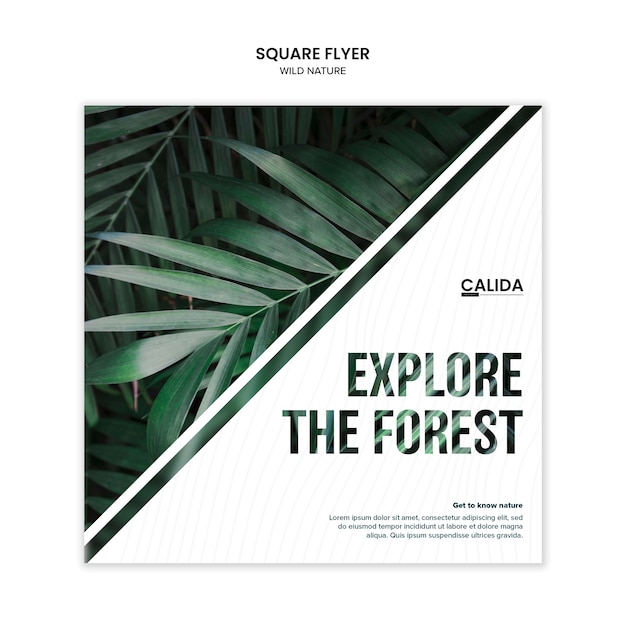 Creative wild nature square flyer template