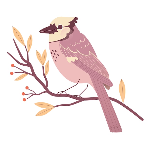 Free PSD cute bird on branch