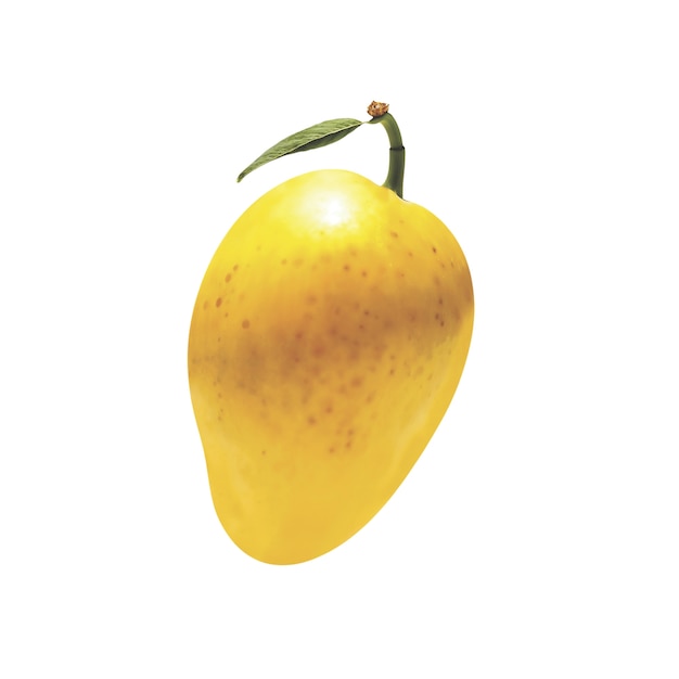 Free PSD delicious mango in studio