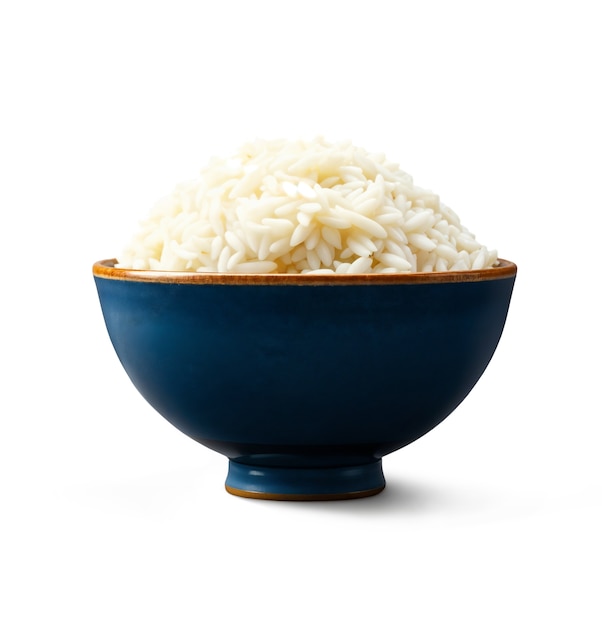 Free PSD delicious rice bowl