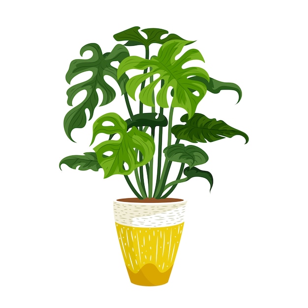 Free PSD detailed plant isolated