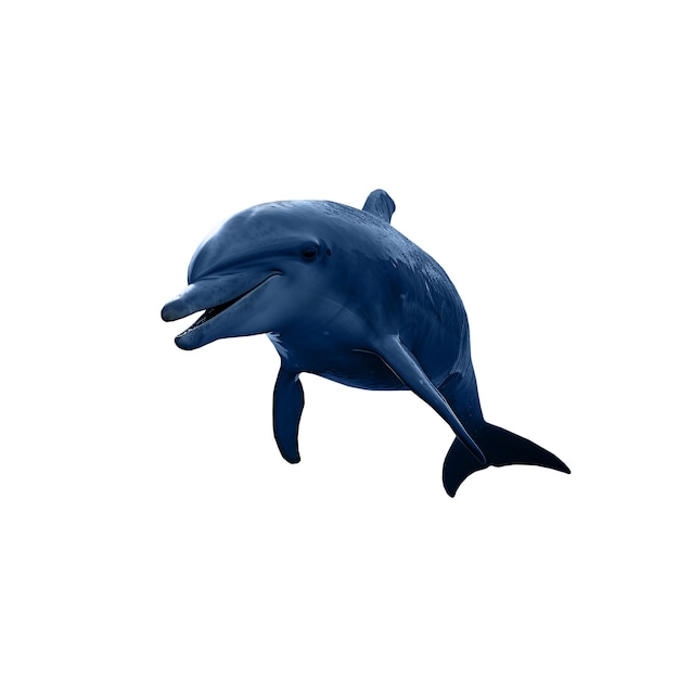 Free PSD dolphin isolated figure