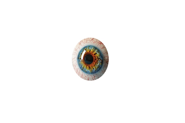 Free PSD eye iris isolated